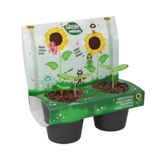 Sunflower Race Grow Kit